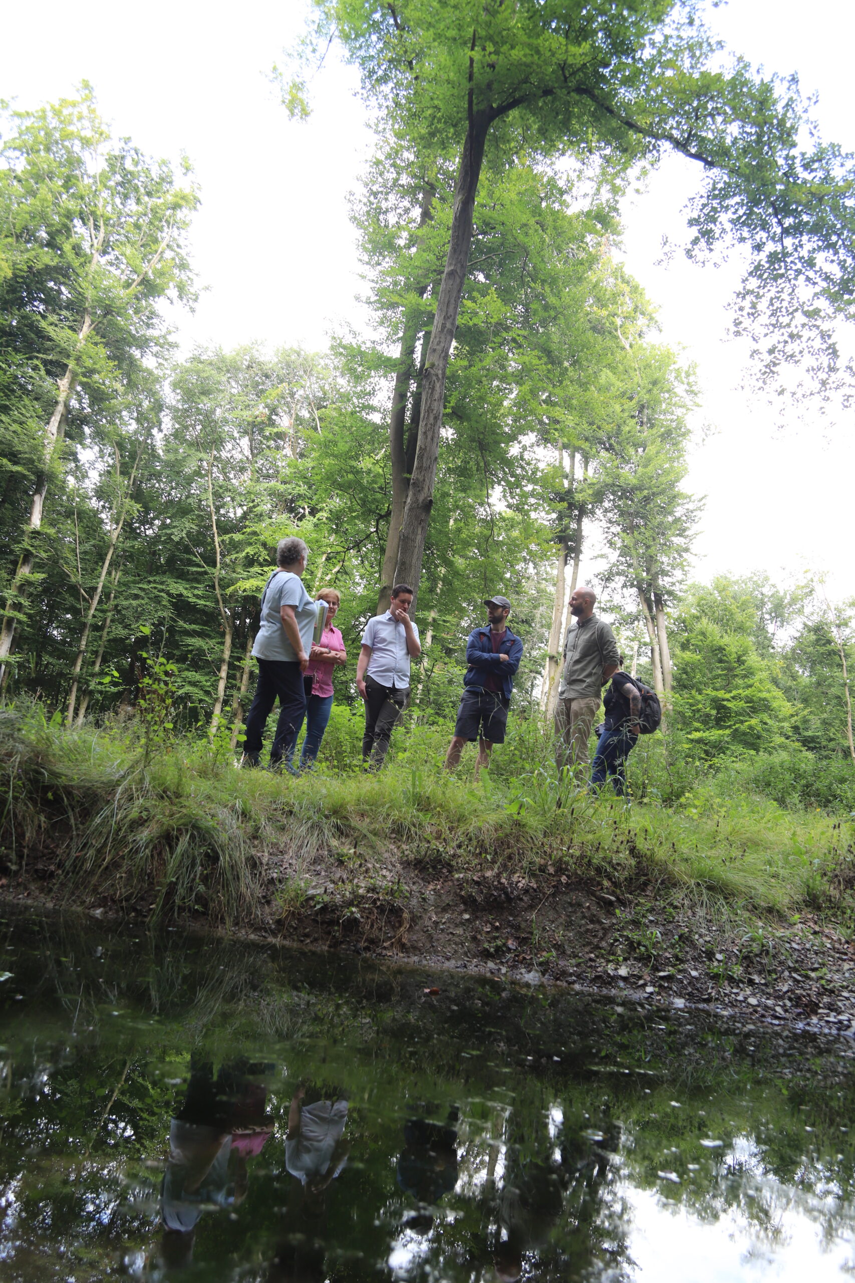 SPD-Mitglieder bei einer Waldbegehung - 6 Personen stehen im Wald, vor ihnen ist ein kleines, mit Wasser gefülltes Auffangbecken zu sehen.