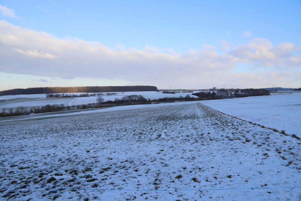Eine große Wiese im Wenzenholz, wo ein Baugebiet entstehen soll.